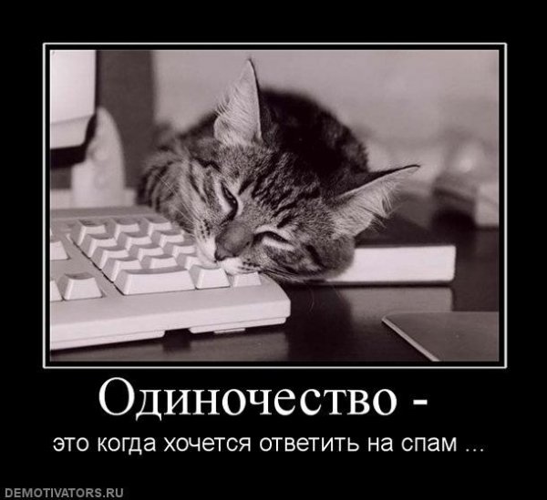 Demotivator (117)