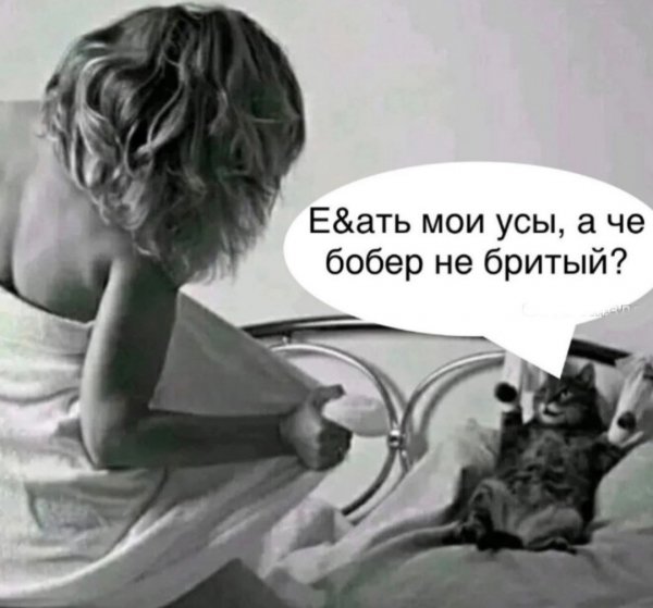 picture_418835730
