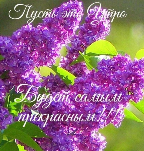 IMG 20210522 125151
