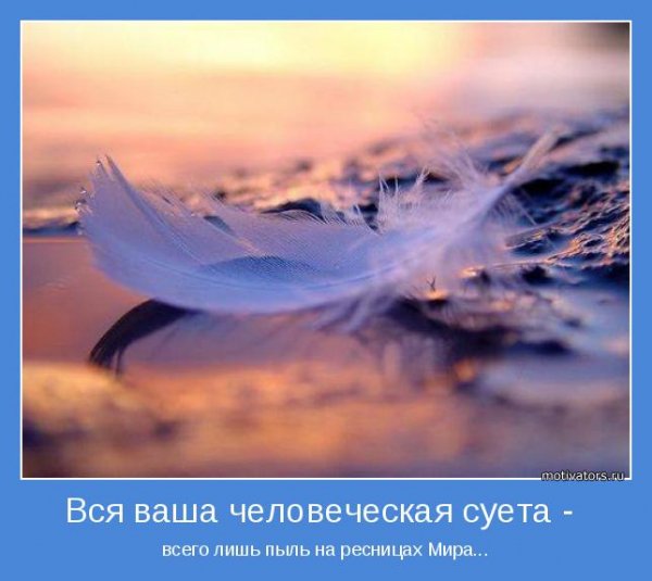 motivatori interesnie-20