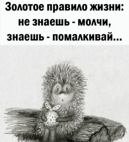 VKIcmQFsxn0