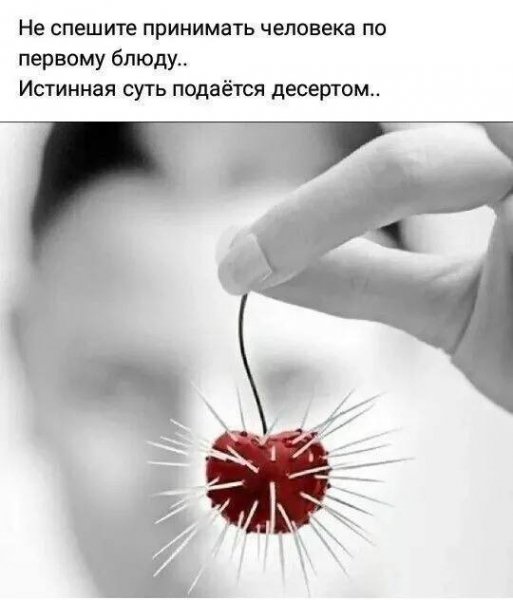 IMG 20241207 163355 354