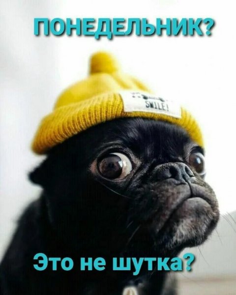 А???