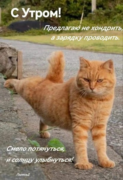 С Утром!