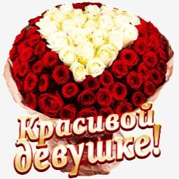 розы