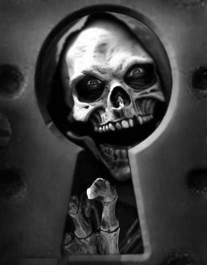 Skelet