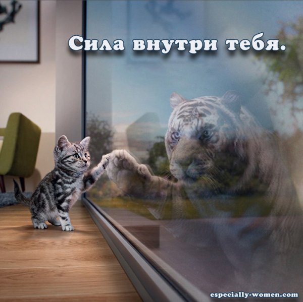 images 12106