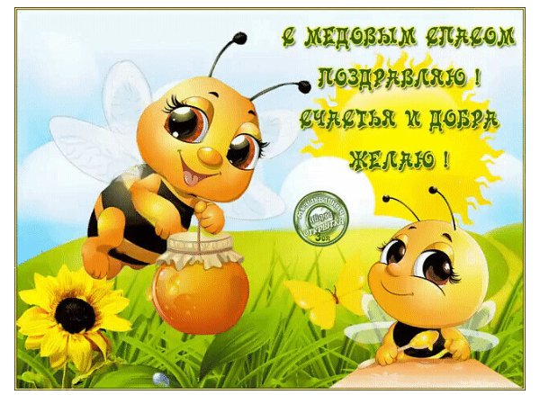IMG 20210814 225924