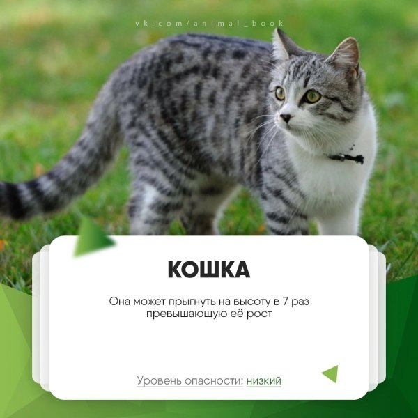 AkQPZlmeuE0