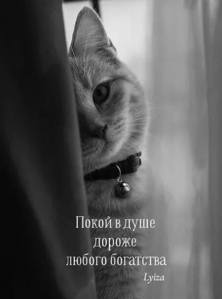 IMG 20260114 061328