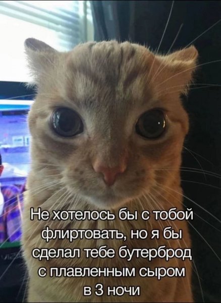 picture_419593067