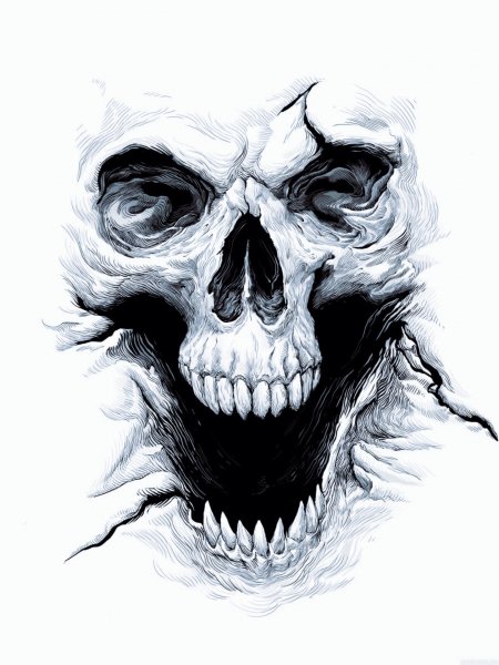 picture_338160459