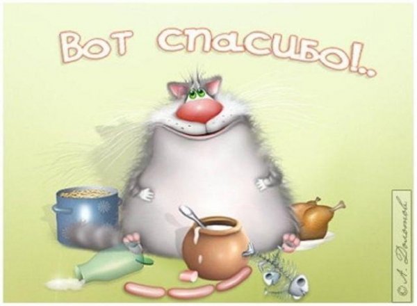 Вот спасибо