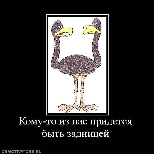 Demotivator (114)