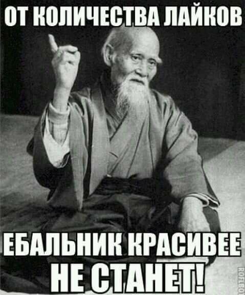 image (33)