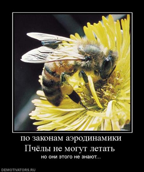 Demotivator (110)