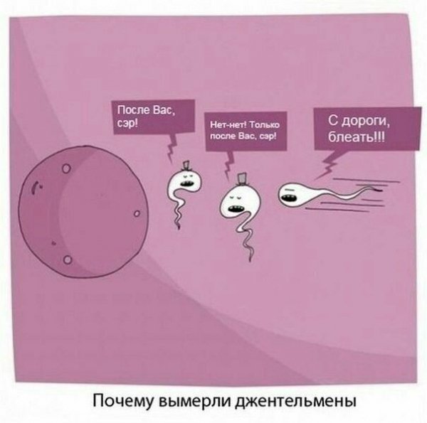 -ostrye-shutki-i-ne-boitsja-vzgljanut-na-mir-s-ulybkoj-2