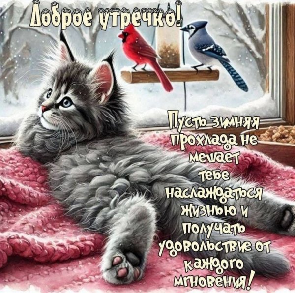 0aab6e28440a56175aa2924251476164