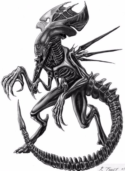 queen alien