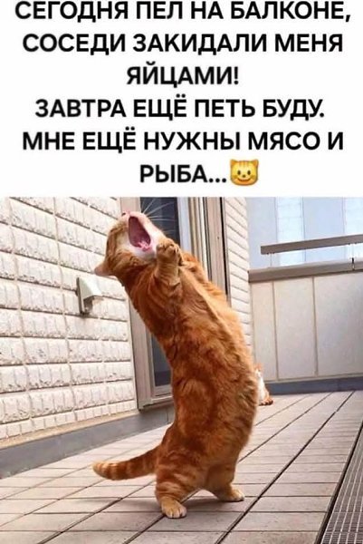 И рыба...