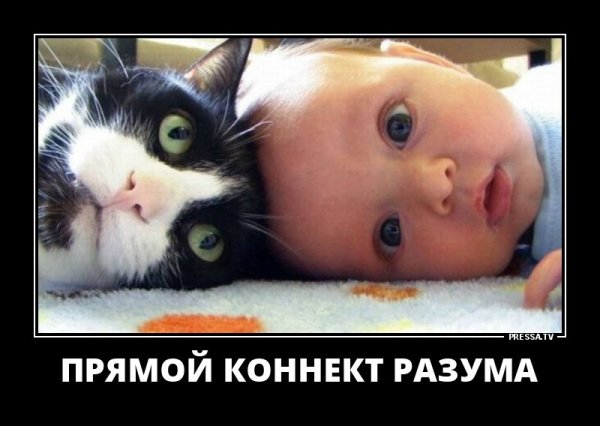 Прямой коннет