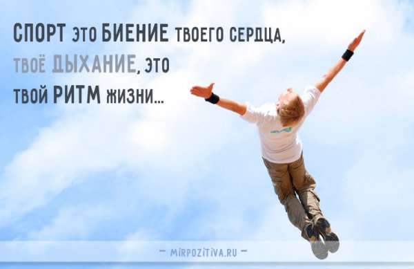 Твой ритм жизни