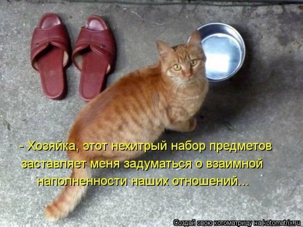 )))
