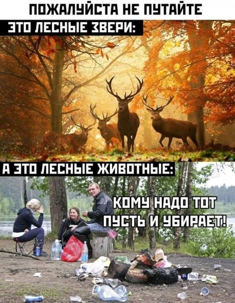 FB IMG 15891893747012187