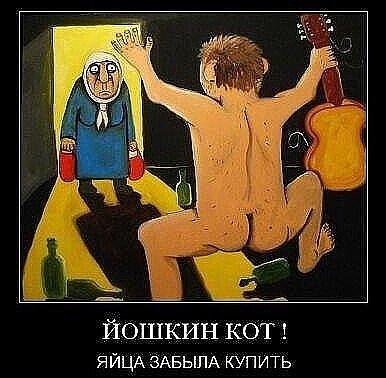 IMG 20240131 075601