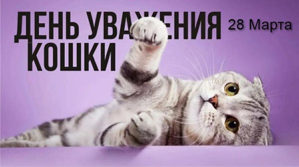 ДЕНЬ УВАЖЕНИЯ КОШКИ