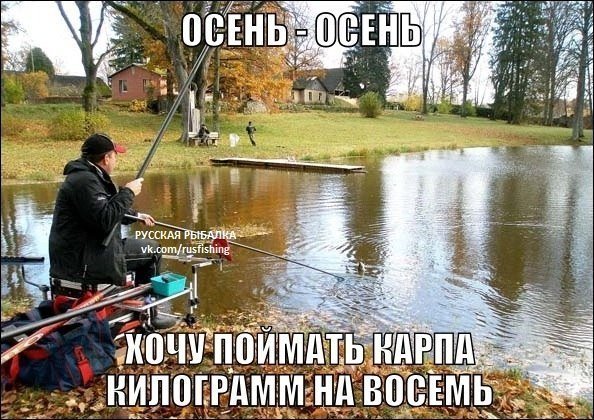 Осень - осень