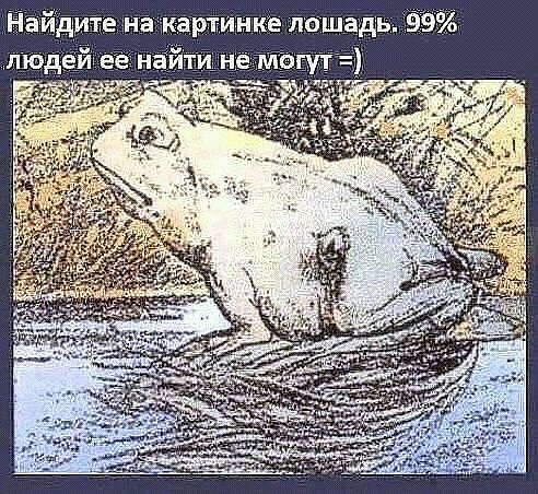 p.600.600.0