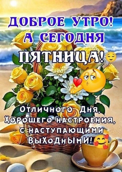IMG-20240816-WA0008