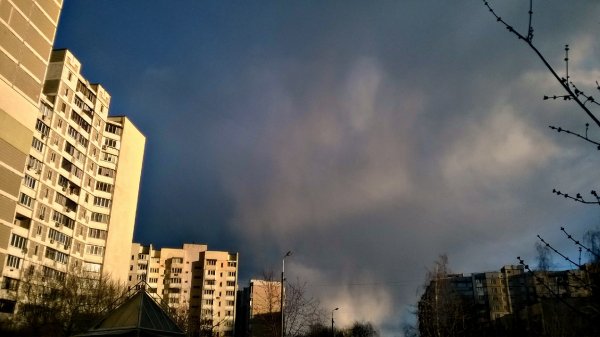 picture_176289778