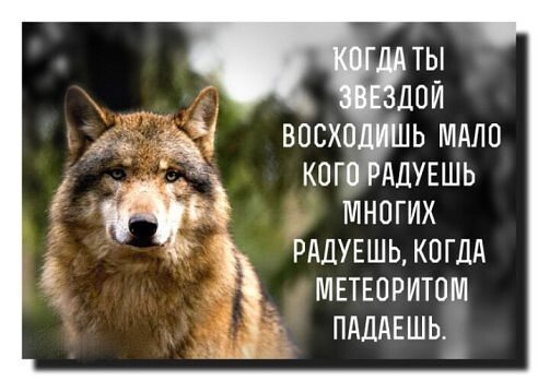 image (2) (32)