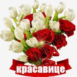 красавице