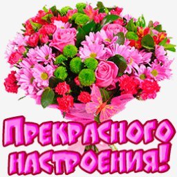 прекрасного настроения