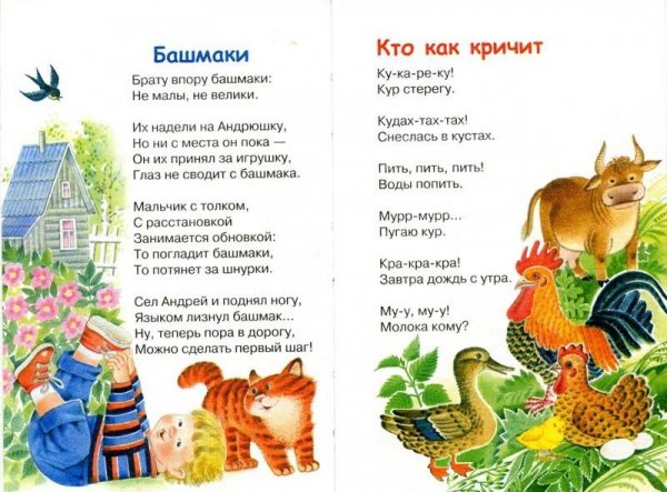 image (2)
