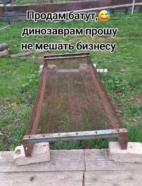 picture_418661589