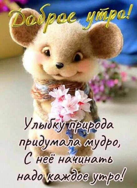 b0624a1f89b1d7c617698b48f8634a0c