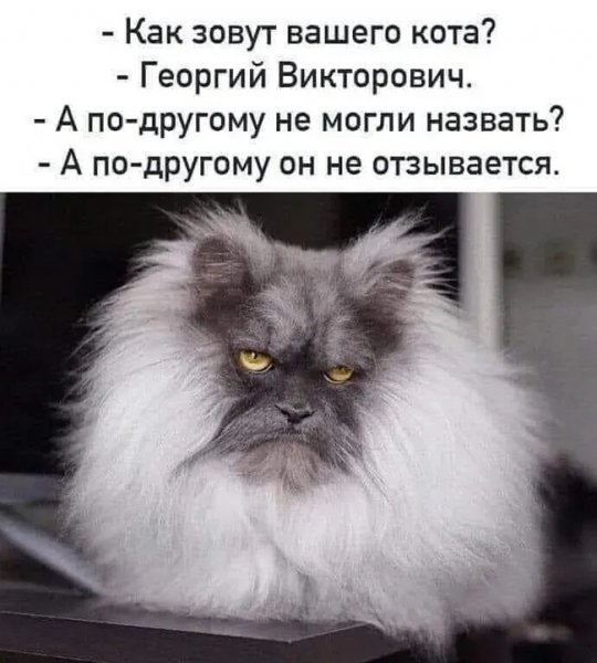 E67b8e631f 000000000000000000000000