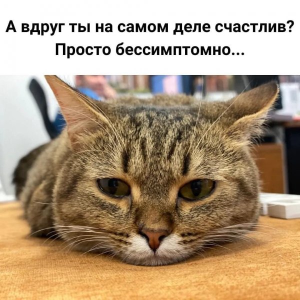 Так! ))