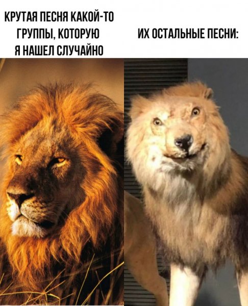 Samye-smeshnye-memy-iz-interneta-prikoly-v-kartinkah-6