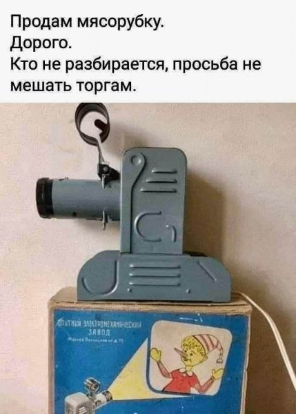 picture_377236455