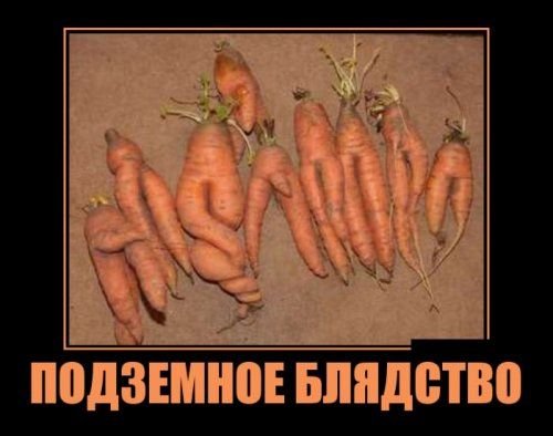 2cbc24a5092f48a5f625ec02cee5709c