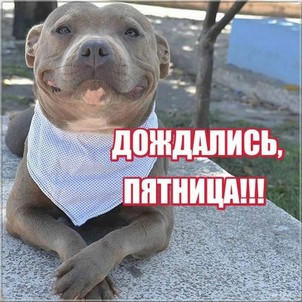 Да! ))