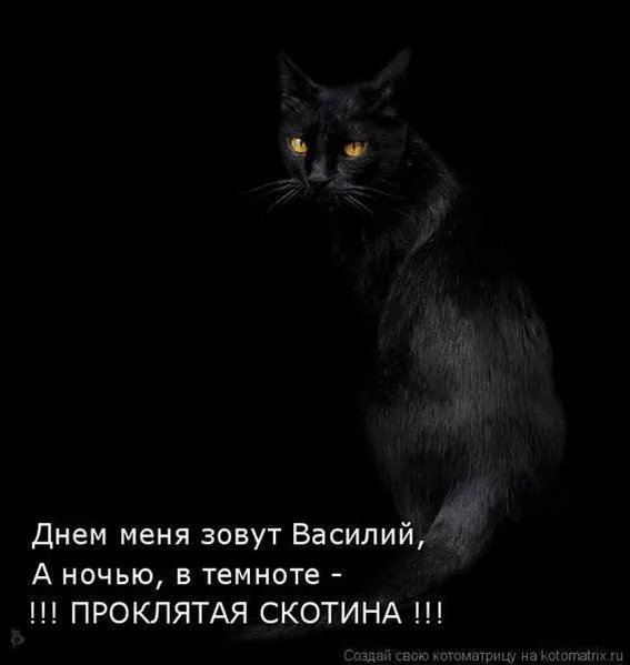В темноте