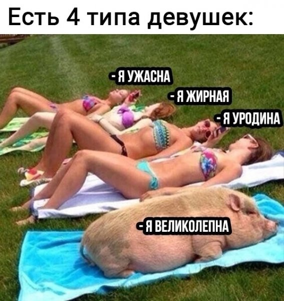 EIAAEvKHYHM
