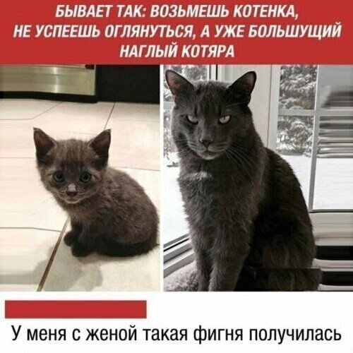 IMG 20211119 201542