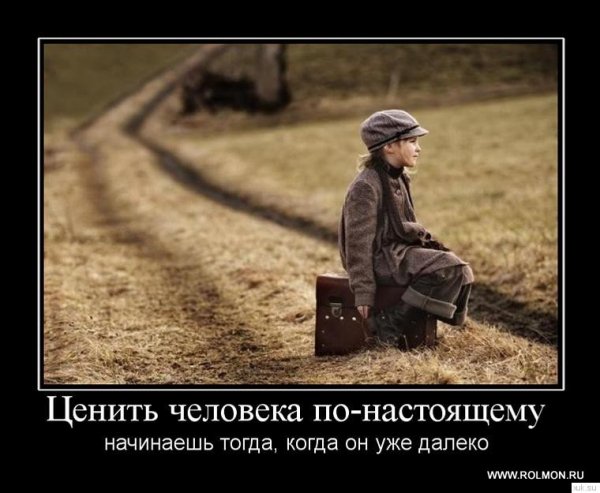 Demotivatory (84)